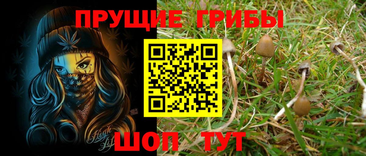 Псилоцибиновые грибы мицелий  Вход с VPN  Чебоксары 