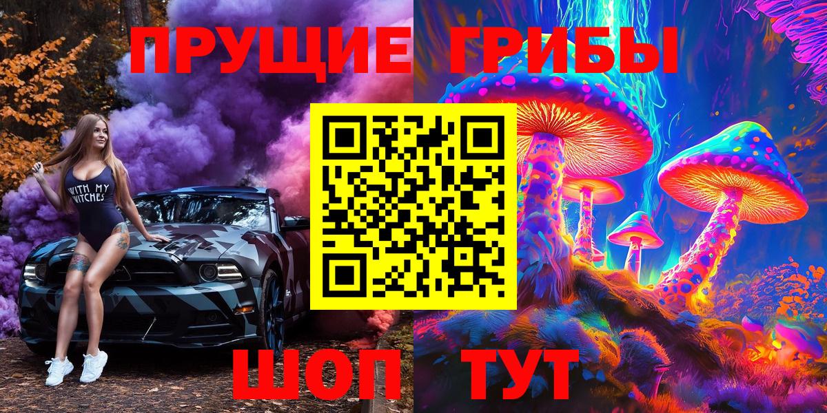 Галлюциногенные грибы Psilocybe Чебоксары